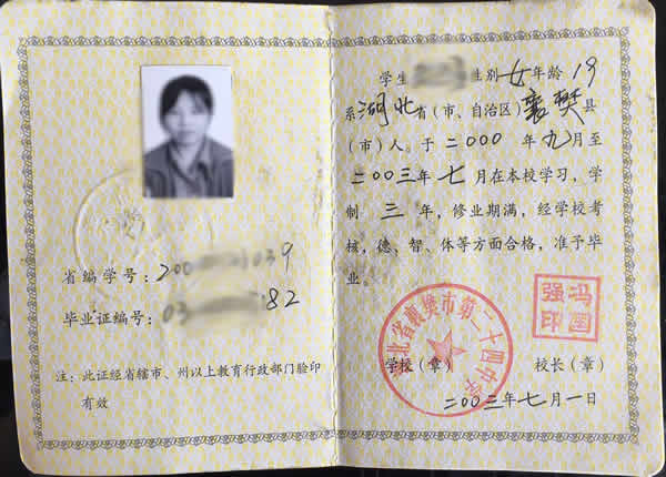 1994年高中毕业证编号怎么填写（样本）