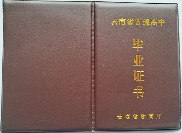 个旧市第三中学高中毕业证图片