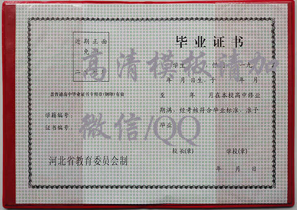 1996年河北高中毕业证图片大全