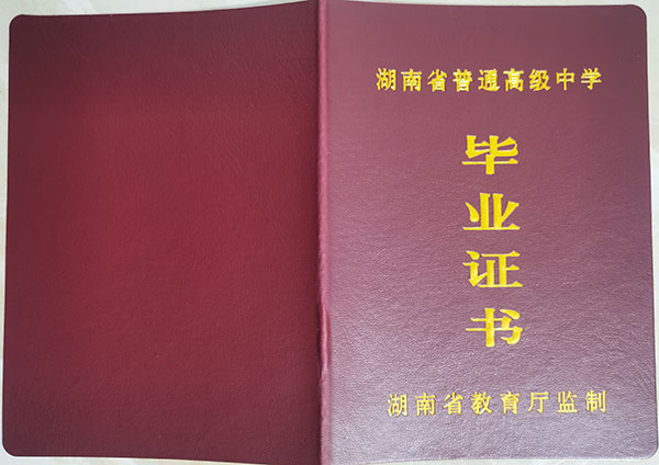 湖南耒阳市2000年高中毕业证图片