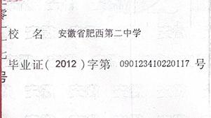 安徽省高中毕业证字号怎么填写_毕业证(XXX)字第XXXXX号