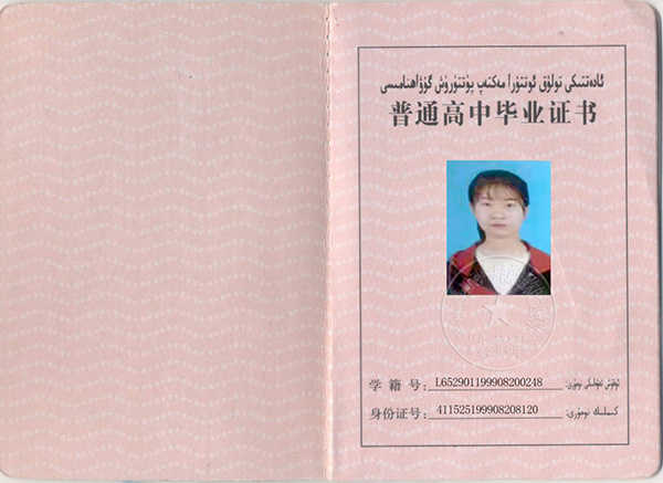 2015年新疆高中毕业证样本「学籍编号」