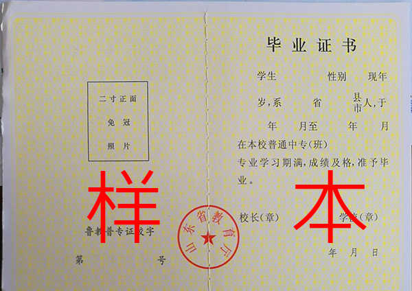 山东省中专毕业证编号规则