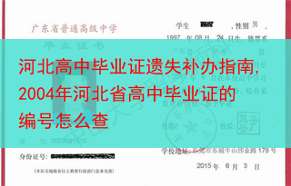 河北高中毕业证遗失补办指南,2004年河北省高中毕业证的编号怎么查