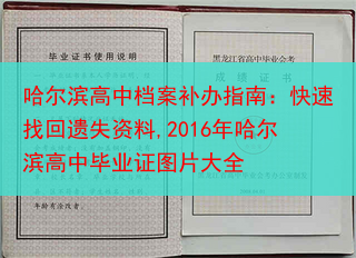 哈尔滨高中档案补办指南：快速找回遗失资料,2016年哈尔滨高中毕业证图片大全