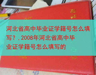 河北省高中毕业证学籍号怎么填写？,2008年河北省高中毕业证学籍号怎么填写的