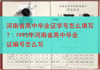 河南省高中毕业证学号怎么填写？,1993年河南省高中毕业证编号怎么写