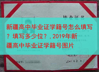 新疆高中毕业证学籍号怎么填写？填写多少位？,2019年新疆高中毕业证学籍号图片