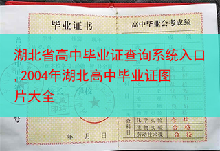 湖北省高中毕业证查询系统入口,2004年湖北高中毕业证图片大全