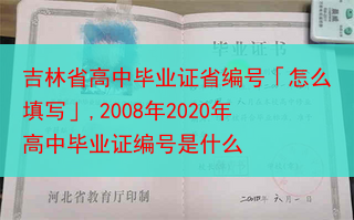 吉林省高中毕业证省编号「怎么填写」,2008年2020年高中毕业证编号是什么