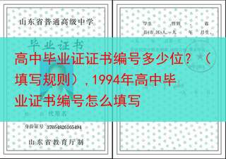 高中毕业证证书编号多少位？（填写规则）,1994年高中毕业证书编号怎么填写